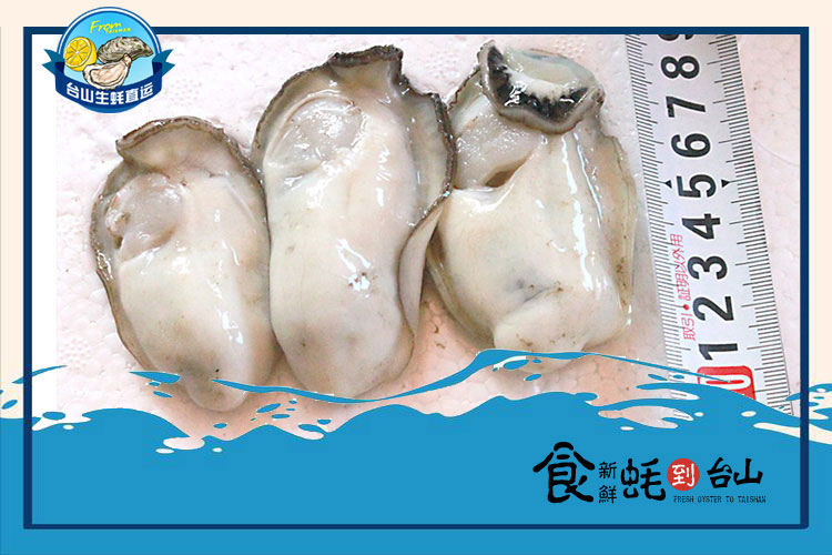 特大生蠔肉（約14~16頭）
