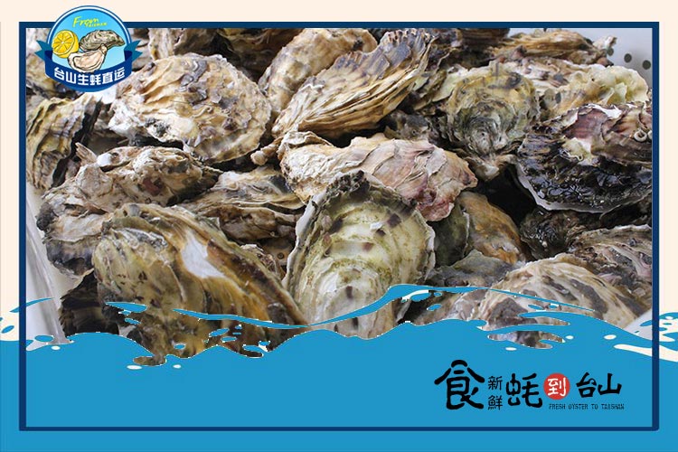 臺(tái)山大生蠔每箱
