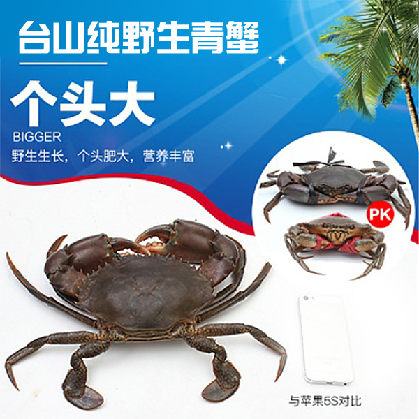 臺(tái)山野生肉蟹