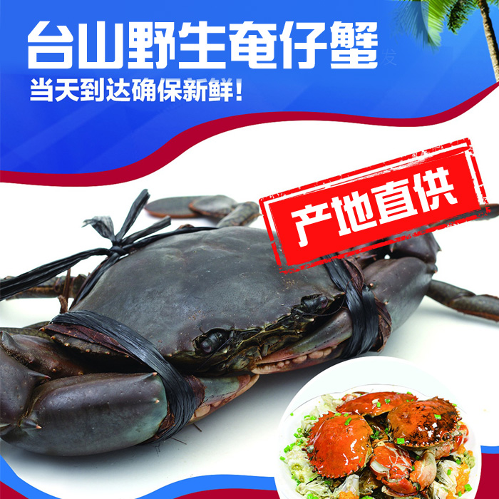 臺山奄仔蟹