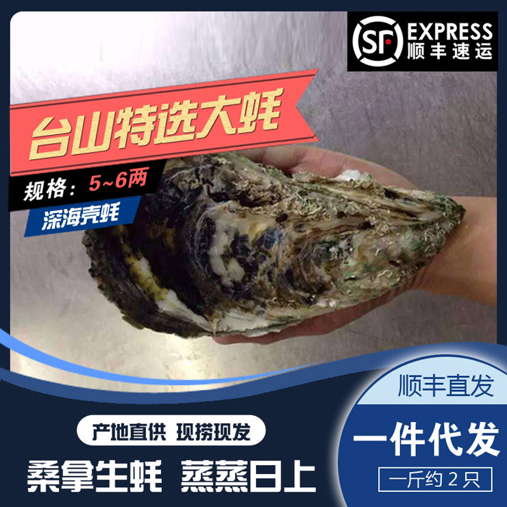 臺(tái)山【特選大蠔】5~6兩
